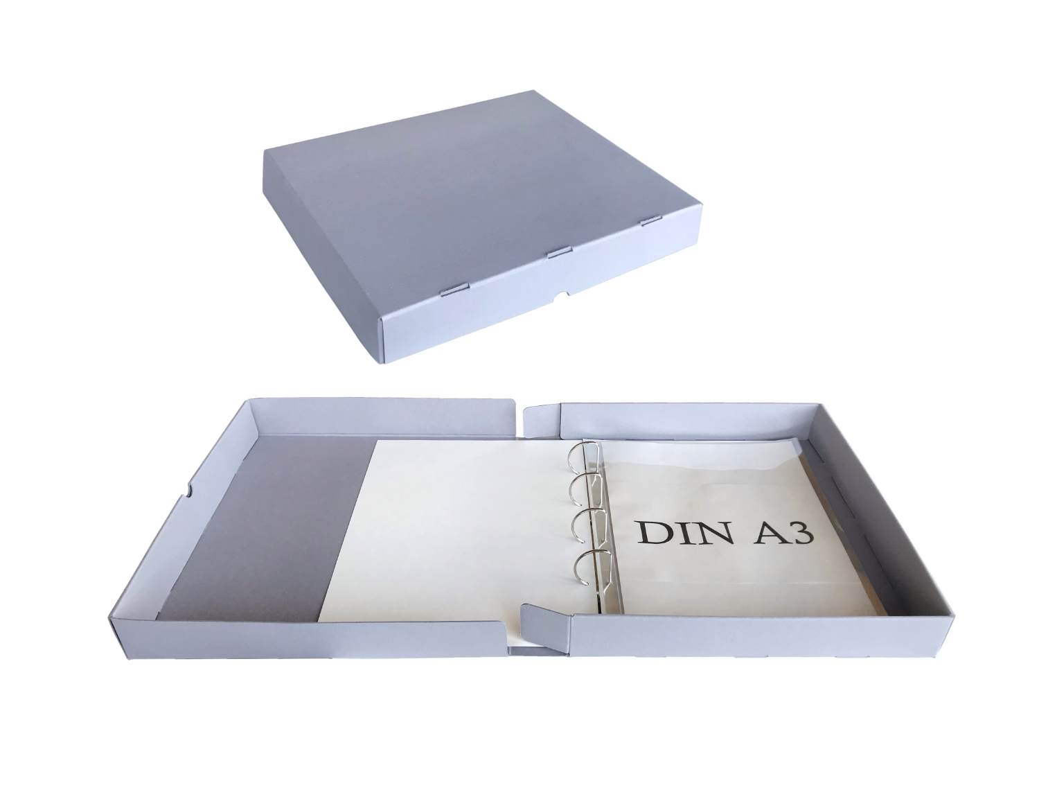 Archival box REFLEX - DIN A3