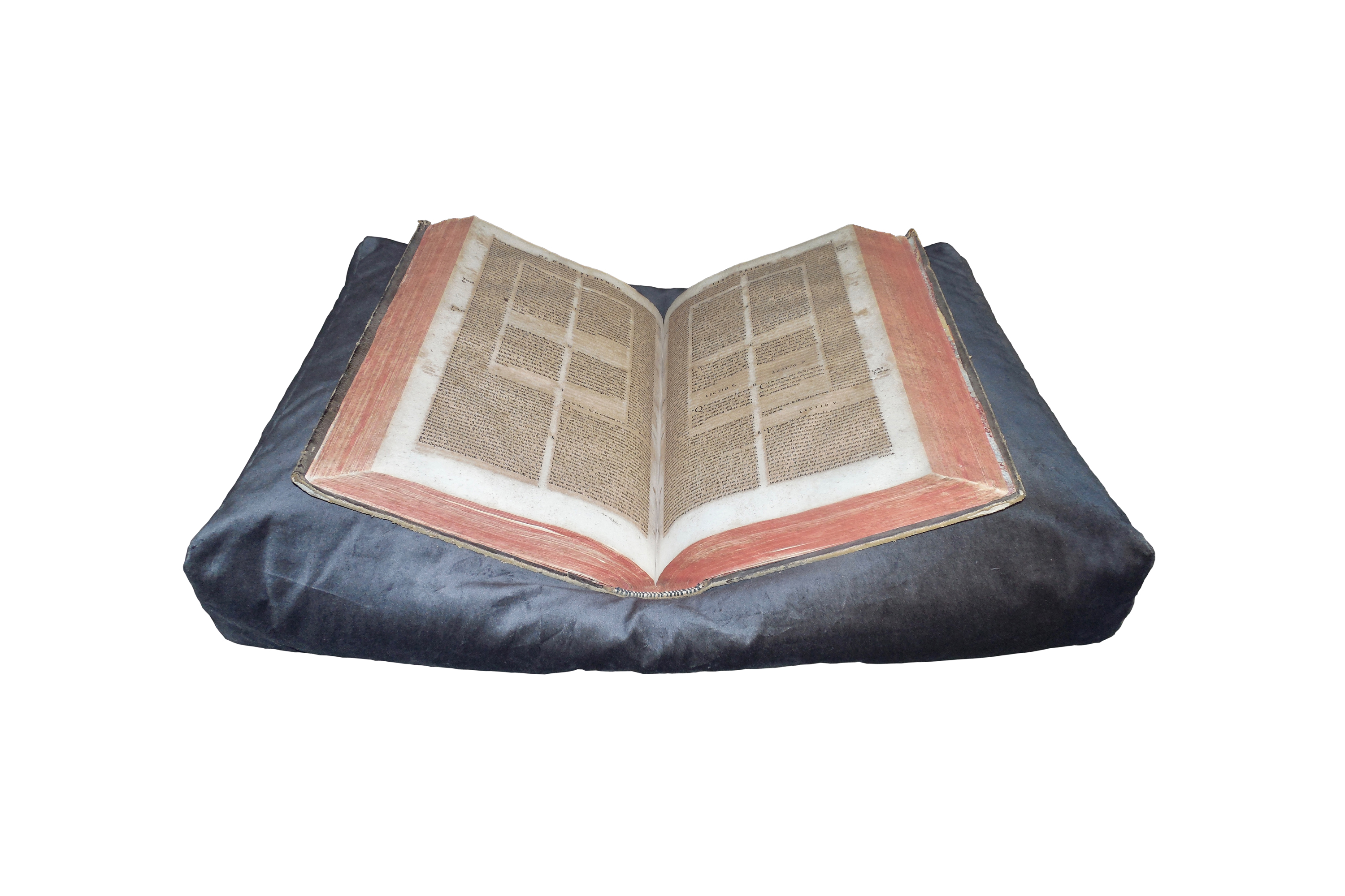 Book Pillow goodforbooks - 60 x 40 x 10