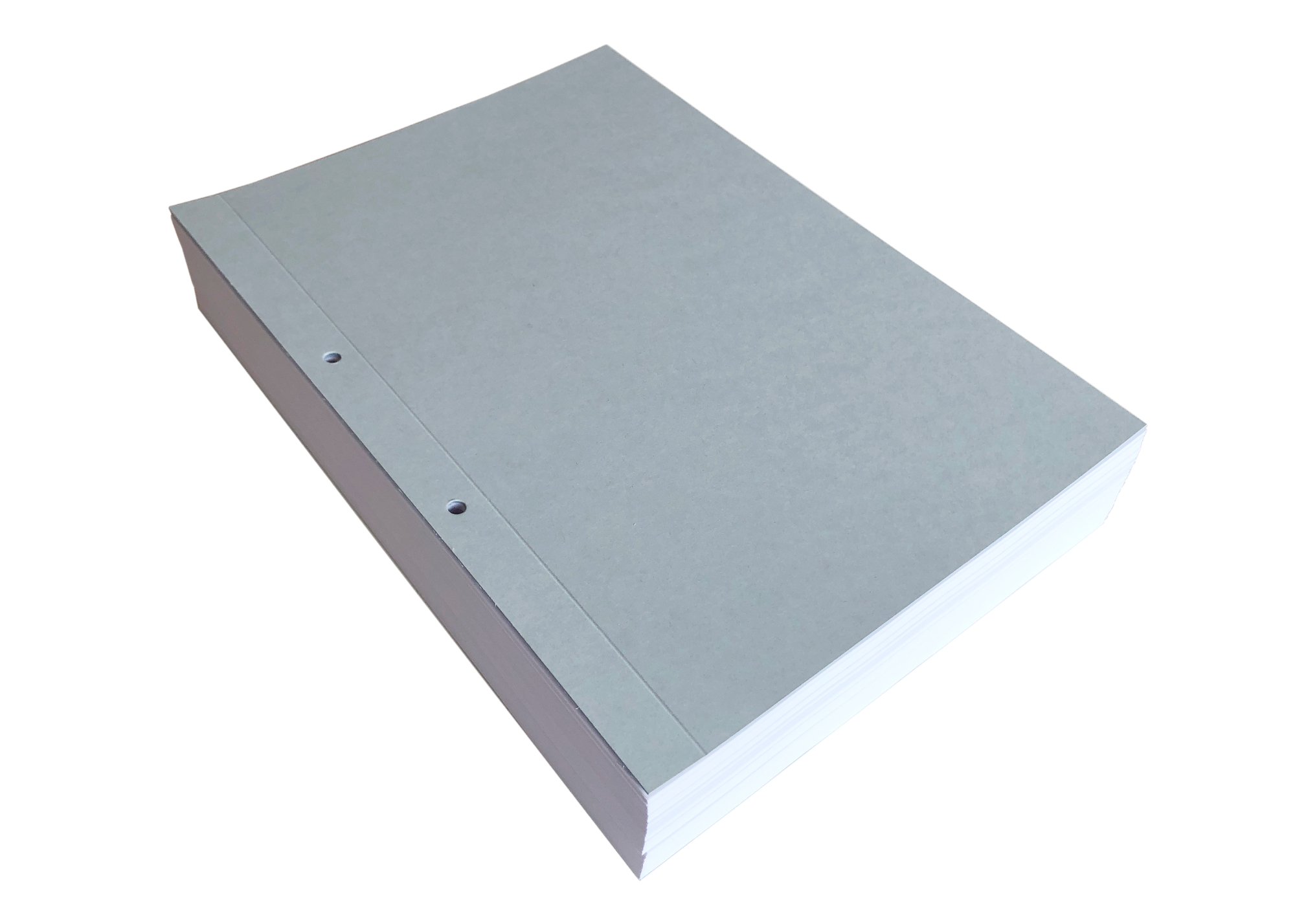 Backing cardboard - Premium Plus 450 DIN A4