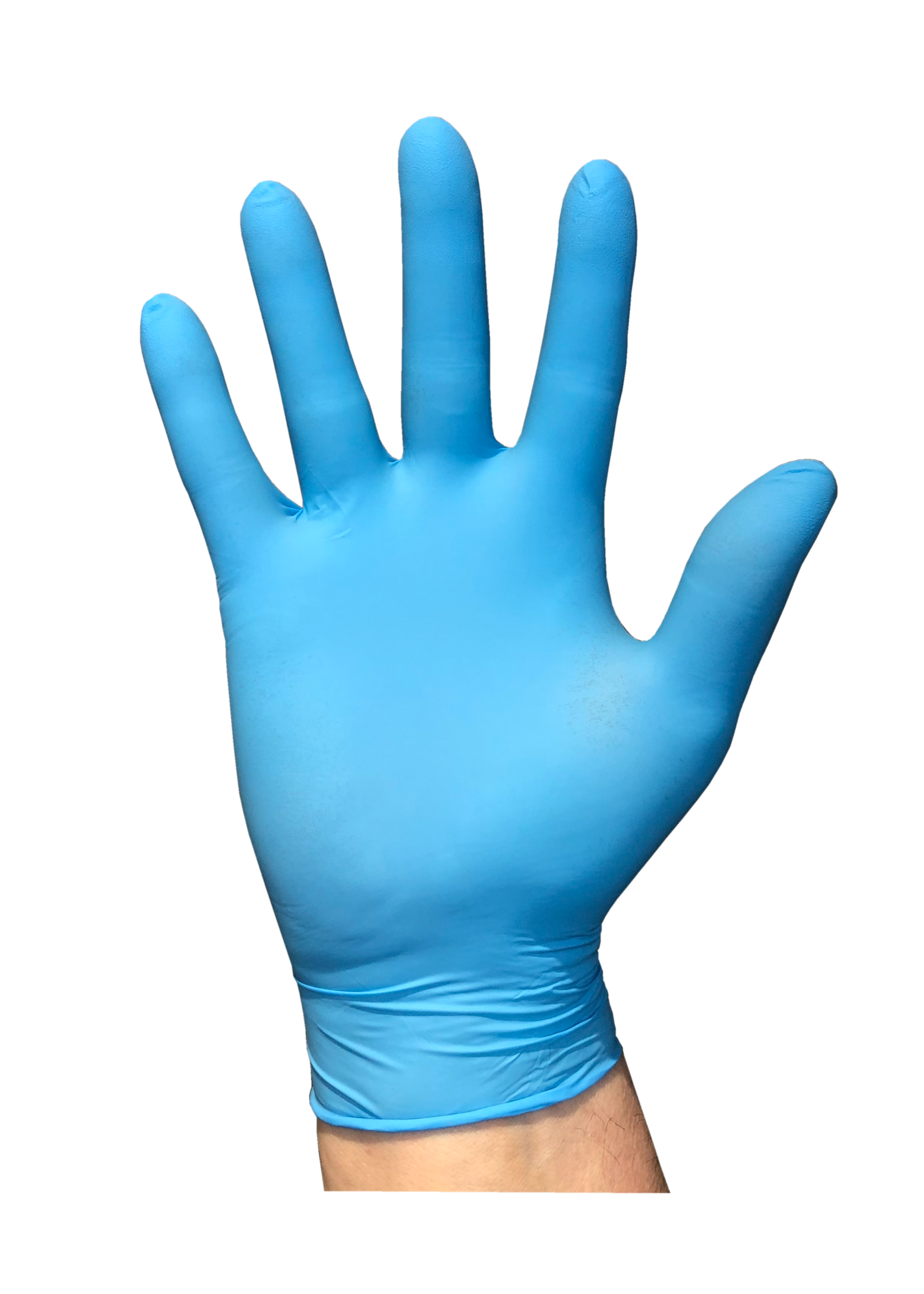 Disposable Gloves - Nitrile L